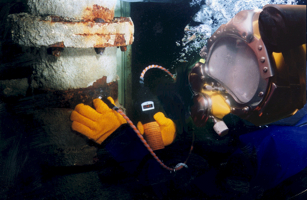 Diver With Cygnus Meter