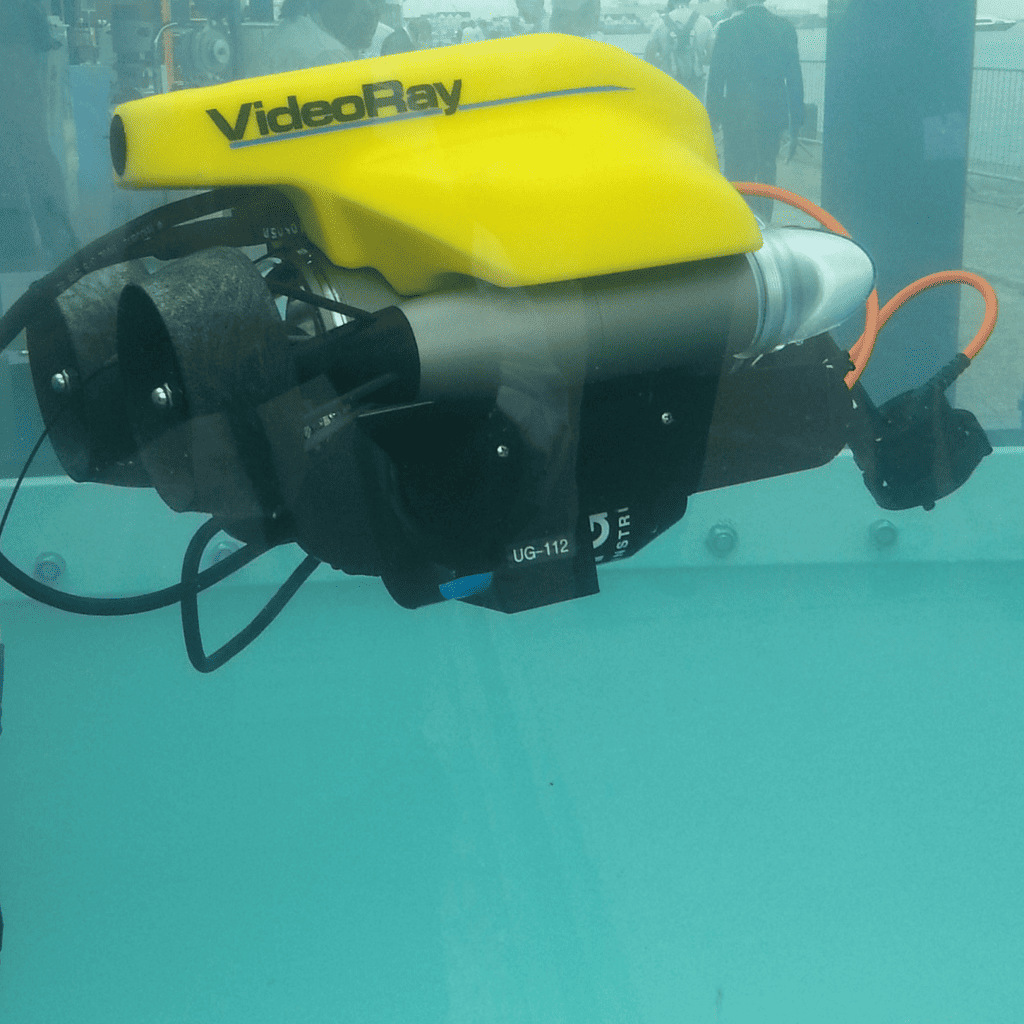 Cygnus Mini ROV Videoray Seawork Application
