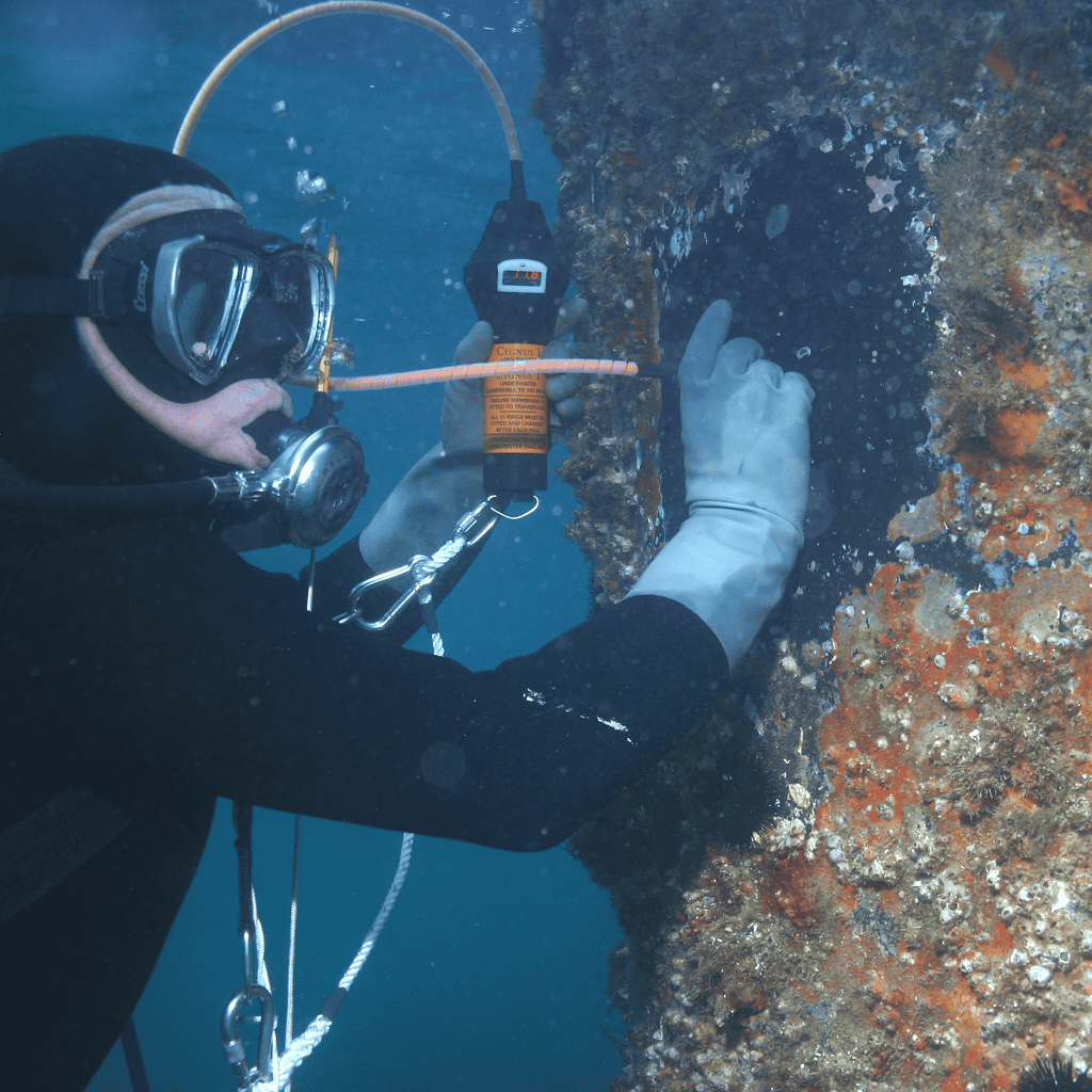 Cygnus Underwater piling application